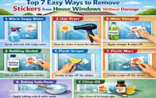 Top 7 Easy Ways to Remove Stickers from House Windows Without Damage