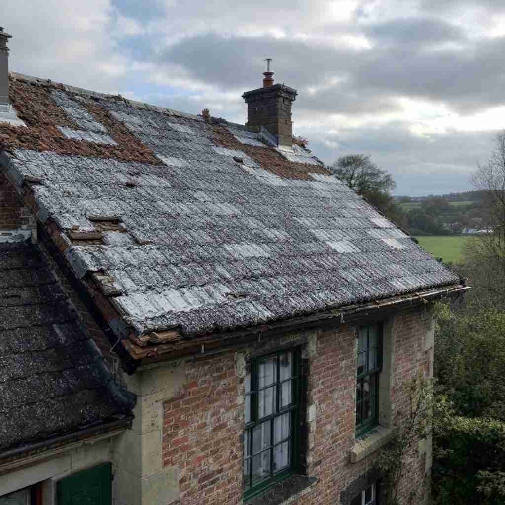 asbestos roof menumiinc