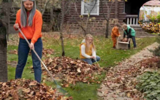 can you burn garden waste in your house garden