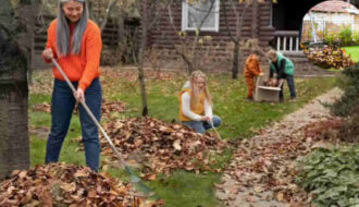 can you burn garden waste in your house garden