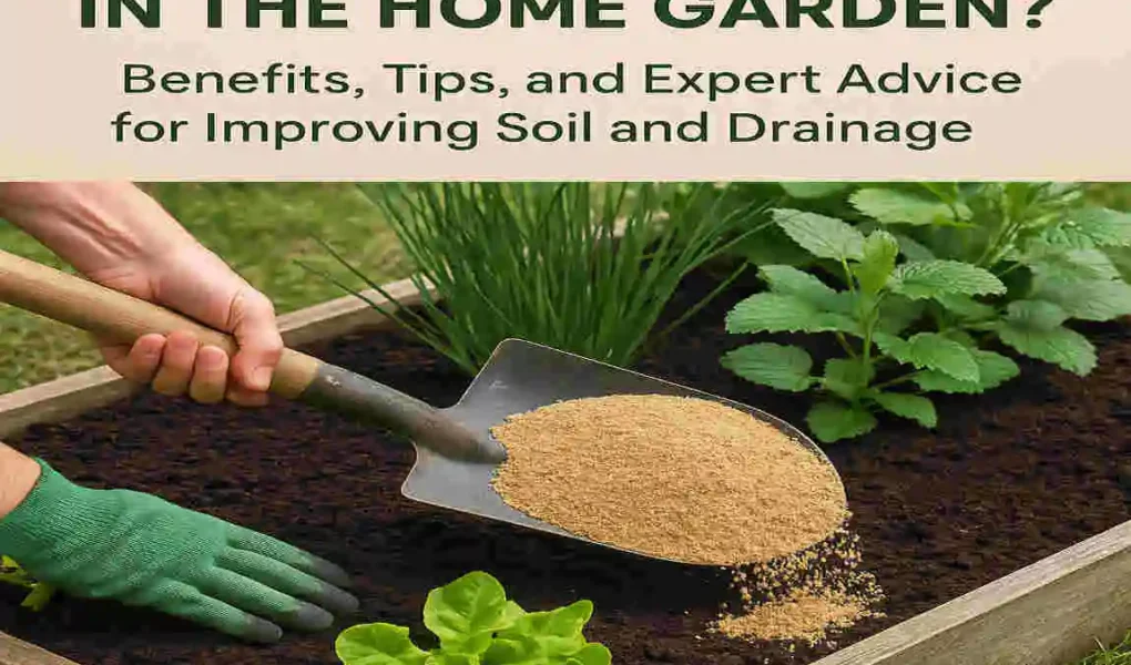 Can You Use Builders Sand in the Home Garden? Benefits, Tips, and Expert Advice for Improving Soil and Drainage