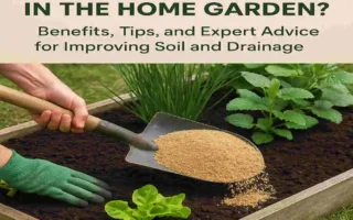 Can You Use Builders Sand in the Home Garden? Benefits, Tips, and Expert Advice for Improving Soil and Drainage