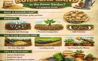 can you use builders sand in the home garden