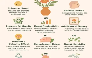 what are the benefits of having flowers in the house