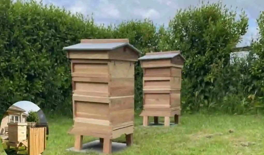 can you keep bees in your house garden uk
