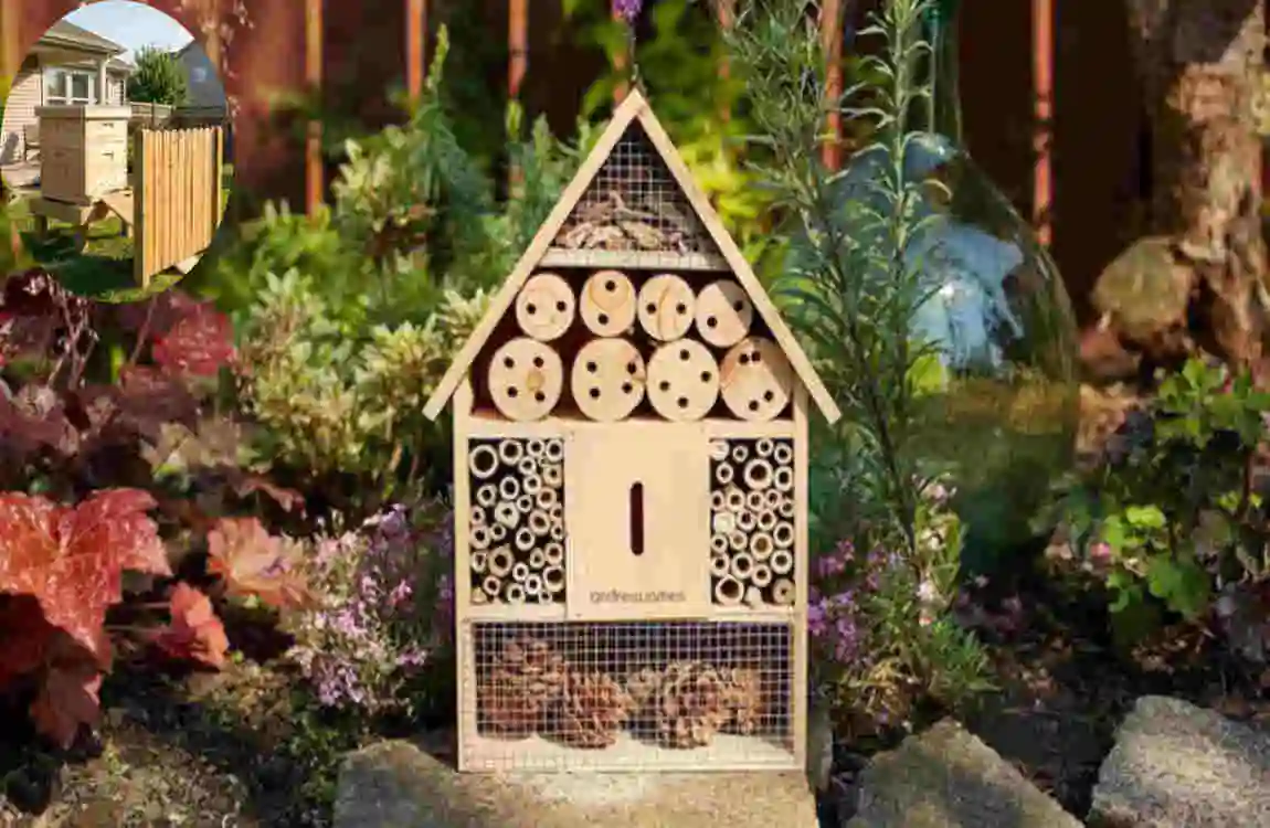 can you keep bees in your house garden uk