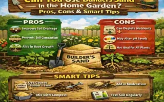 Can You Use Builders Sand in the Home Garden? Pros, Cons & Smart Tips