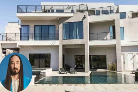 Steve Aoki House