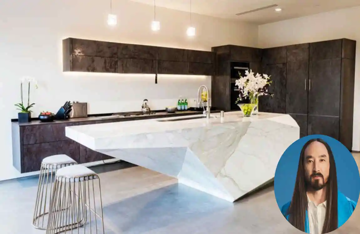 Steve Aoki House