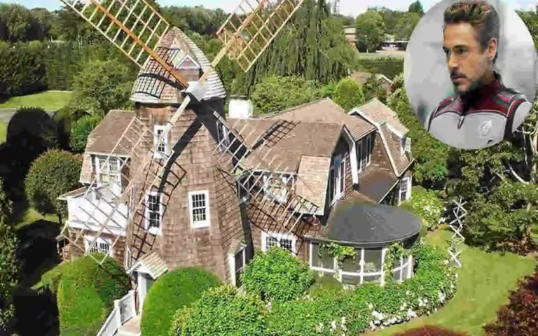 Robert Downey Jr. House