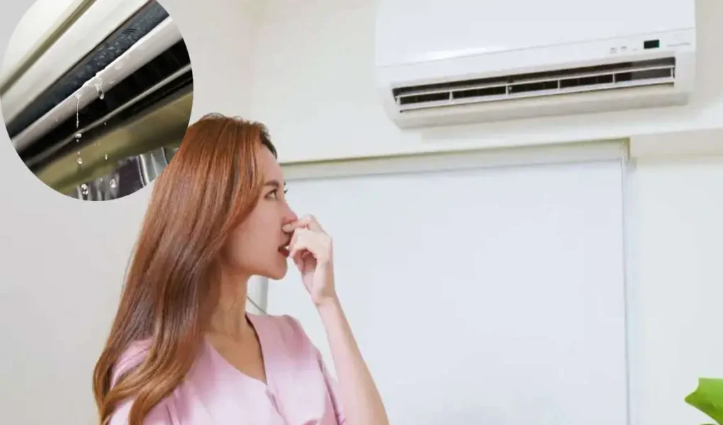 why does my house feel damp with ac on