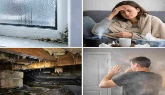 Can a House Be Too Airtight?