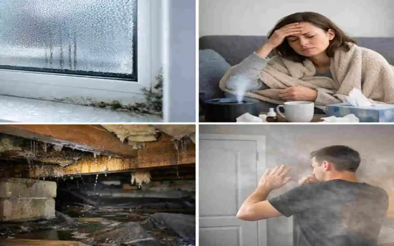 Can a House Be Too Airtight?