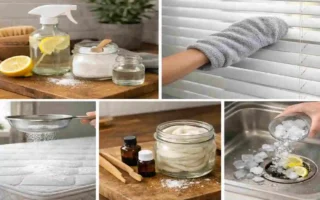 House cleaning tips for a Spotless home