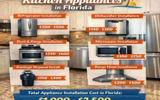Costs to Install Kitchen Appliances in Florida