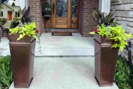 Front House Planters?